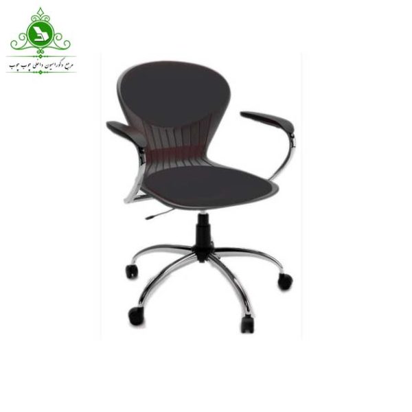 Office Chair Sadafi Dastedar Office Chair Sadafi Dastedar
